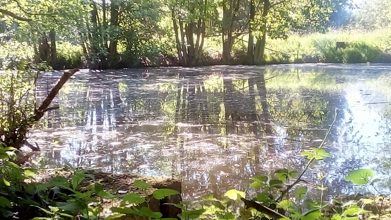 Domaine De Gentilly Saint-Maurice-lès-Charencey Zewnętrze zdjęcie